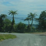 Driving on the Coromandel Peninsula