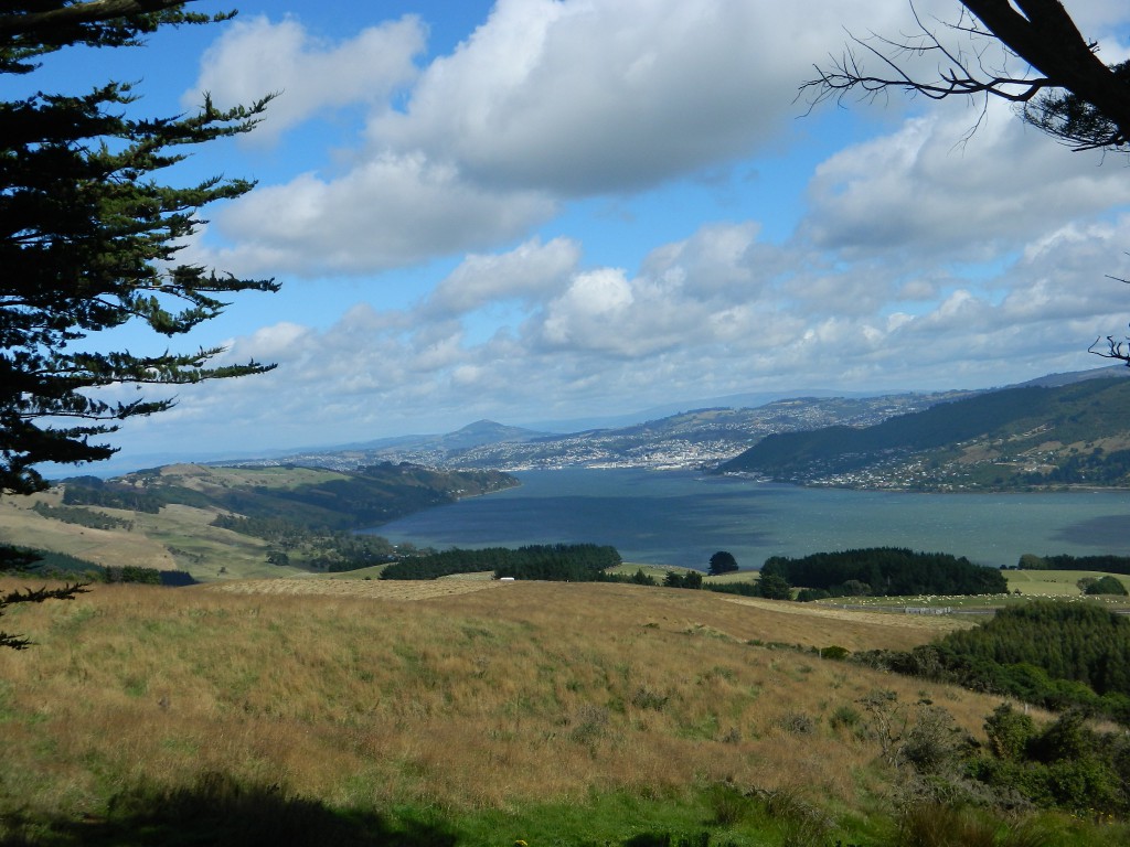View on Dunedin from the Larnach Castle